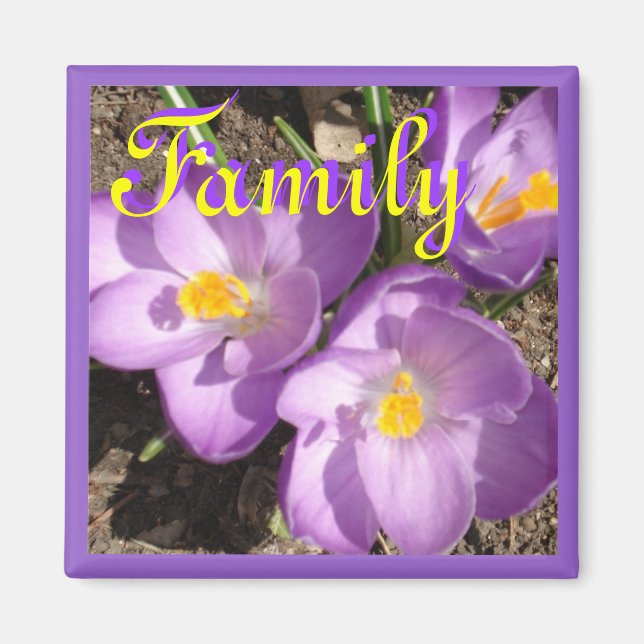 Imán crocusfamilymagnet (Frente)