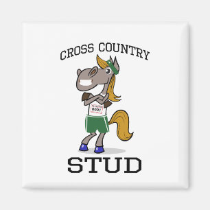 Imán Cross Country Stud