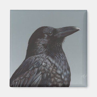 Imán Crow