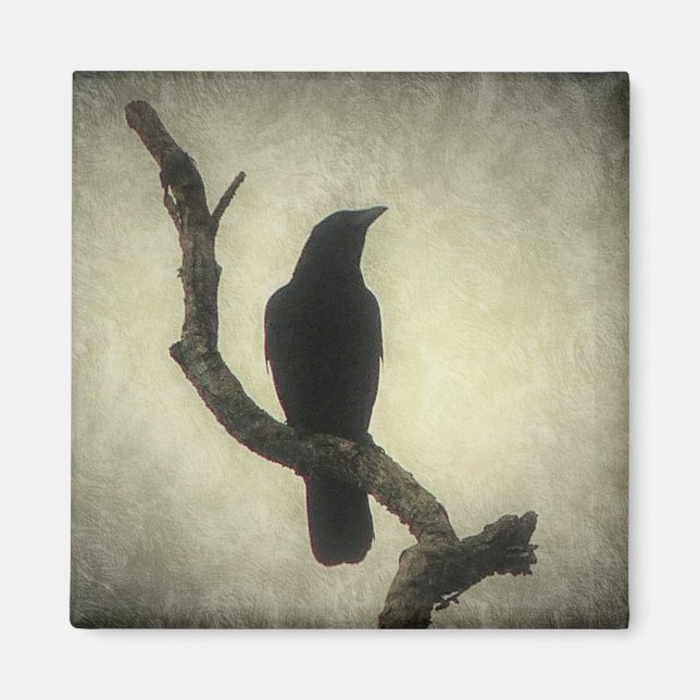 Imán Crow (Frente)