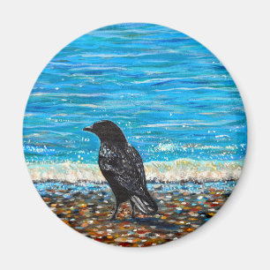 Imán Crow en el cuadro de la playa 2