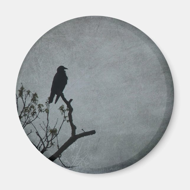 Imán Crow Magnético (Frente)