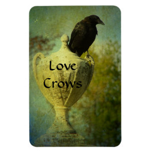 Imán Crows de amor