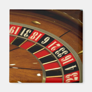 Imán crucero en México. Princess Cruises Dawn Princess