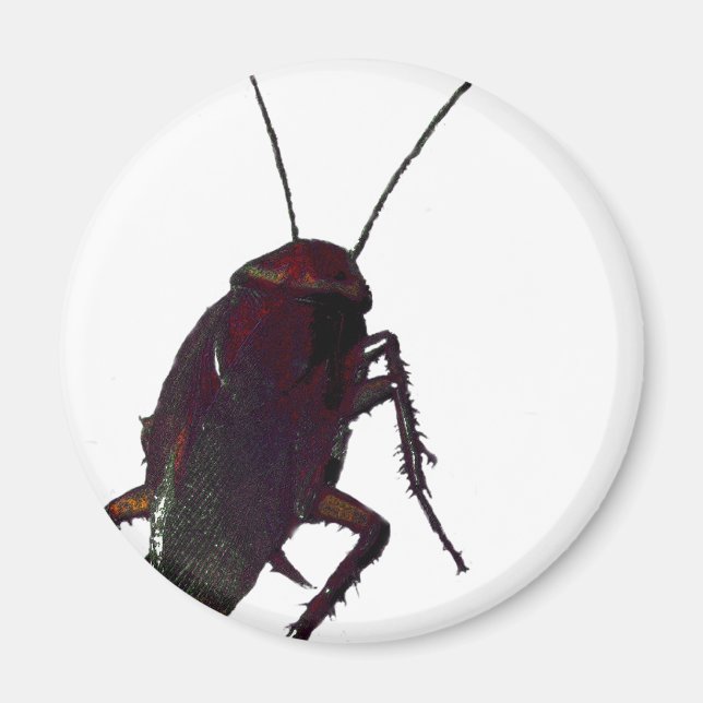 Imán Crunchy Cockroach (Frente)