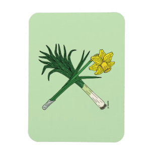 Imán Cruzado de puerros y daffodil
