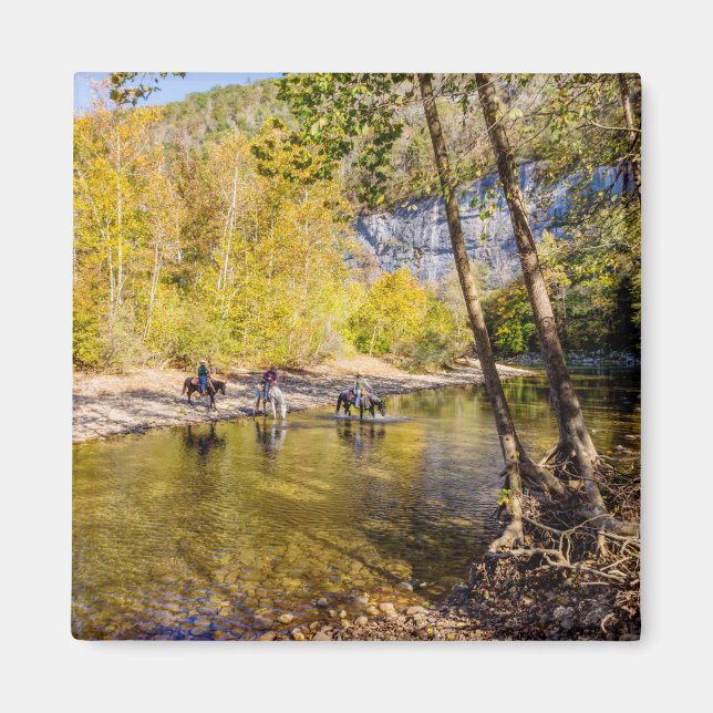 Imán Cruzando El Río Búfalo (Frente)