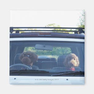 Imán cuaderno estándar 4