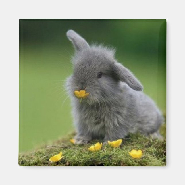 Imán cuadrado (Frente)