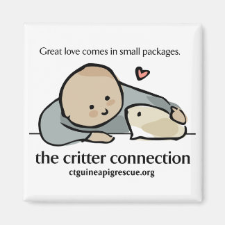 Imán cuadrado con logotipo en color y sitio web