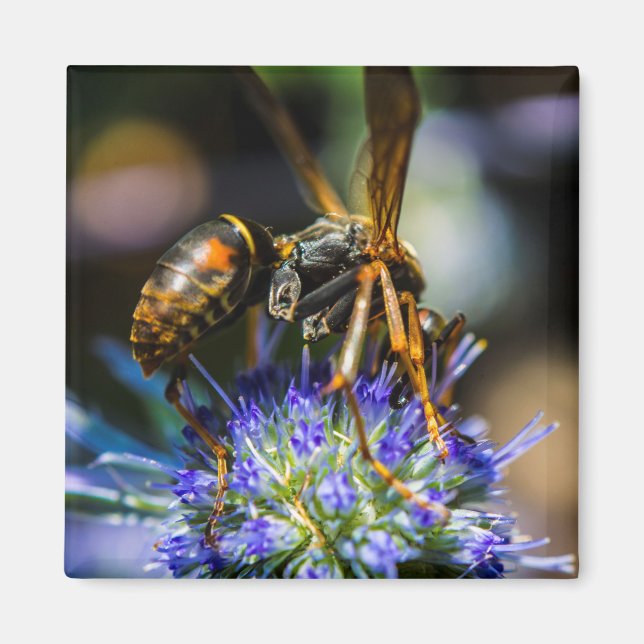 Imán cuadrado de 2 pulgadas Bee Aware (Frente)