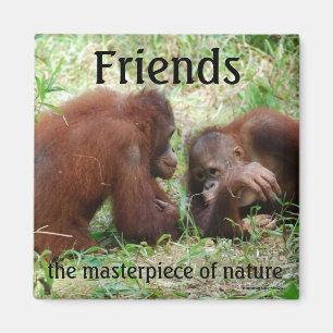 imán cuadrado de amigos