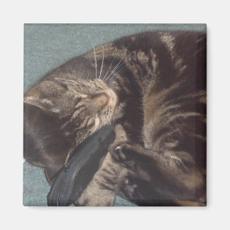 Imán Cuadrado De Dave 5.1 Cm