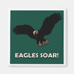 Imán Cuadrado de Eagle del vuelo