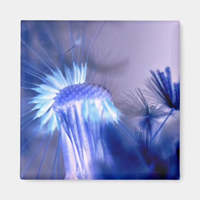 Imán cuadrado de impresión floral de luz azul (Frente)