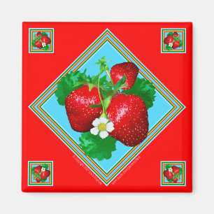 Imán cuadrado de las FRESAS