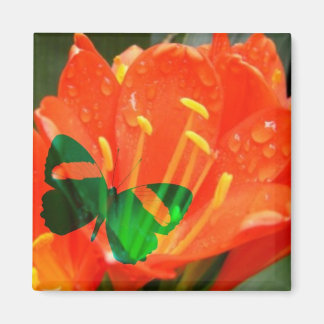 Imán cuadrado de mariposa de flor de naranja