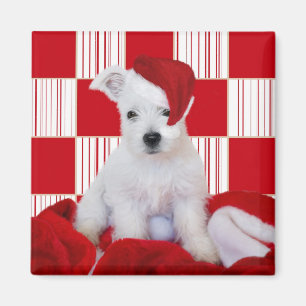 Imán Cuadrados del perrito de Westie del navidad - imá