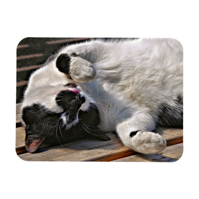 IMÁN CUADRAR CAT (Horizontal)