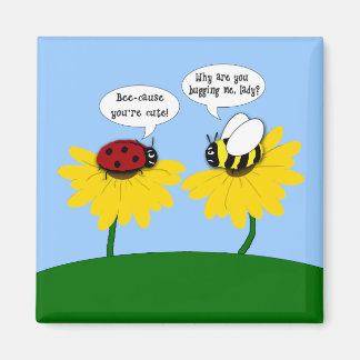 Imán Cuadybug y Bumble Bee Magnet