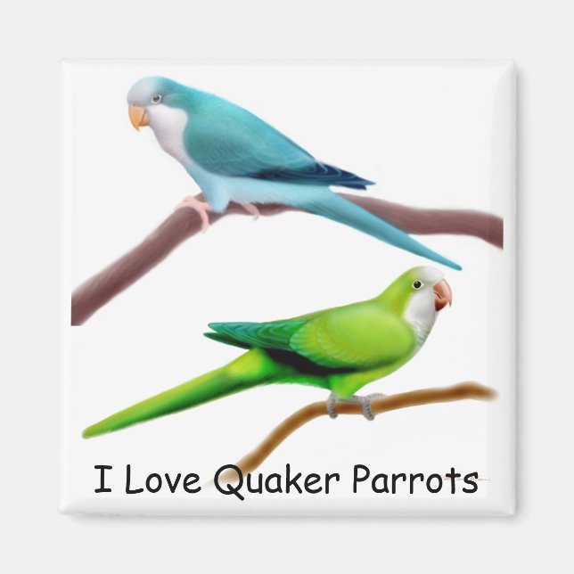Imán Cuaker Parrots Magnet (Frente)