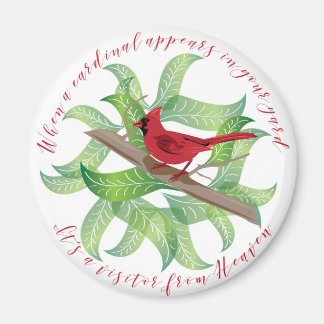 Imán Cuando aparece un cardenal en tu patio...