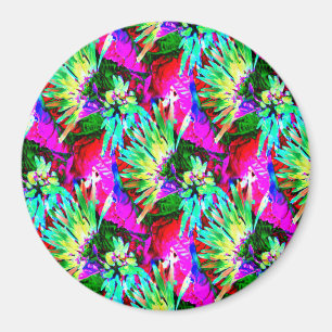 Imán Cuando en Hawaii...