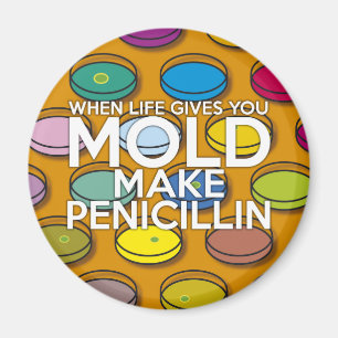 IMÁN CUANDO LA VIDA TE DA MOHECIMIENTO HAZ PENICILINA