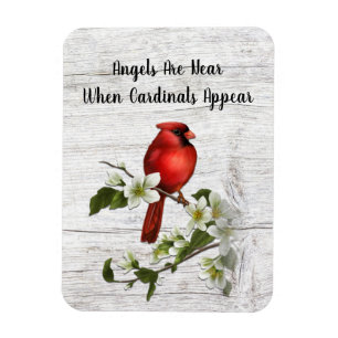 Imán Cuando los ángeles están cerca, aparecen los carde