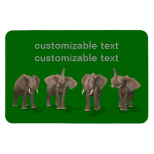 Imán Cuarteto de Elefantes