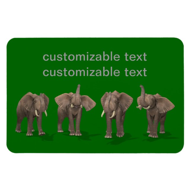 Imán Cuarteto de Elefantes (Horizontal)