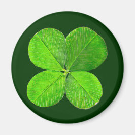 Imán Cuatro Atrapos De Hojas El MUSEO Zazzle Regalos