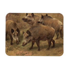 Imán Cuatro Boars en un paisaje francés (por Rosa Bonhe