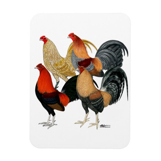 Imán Cuatro gallos de pelea (Vertical)