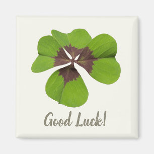 Imán Cuatro hojas Lucky Clover St Patricks Day Buena Su