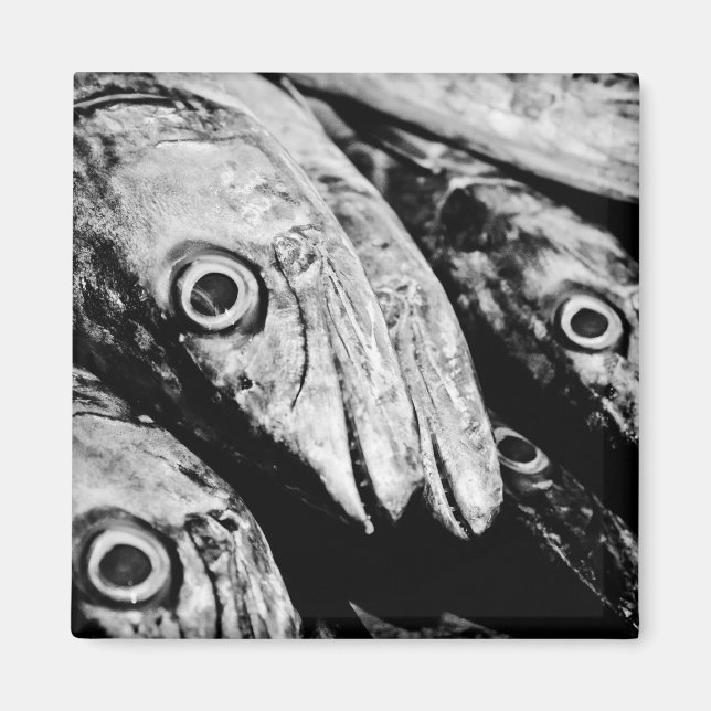 Imán cuatro ojos (Frente)