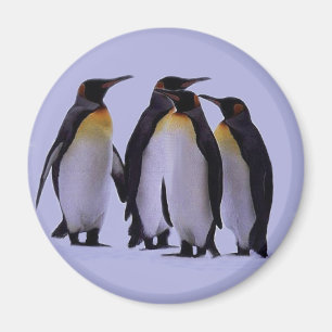 Imán Cuatro pingüinos