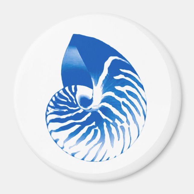 Imán Cubierta de Nautilus - azul cobalto y blanco (Frente)
