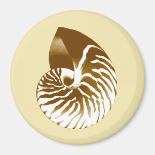 Imán Cubierta de Nautilus - marrón, blanco y beige