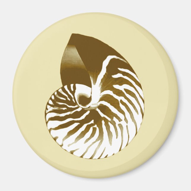 Imán Cubierta de Nautilus - marrón, blanco y beige (Frente)