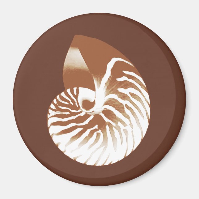 Imán Cubierta de nautilus - marrón y blanco de cacao (Frente)