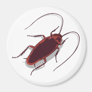 Imán ¡Cucaracha!