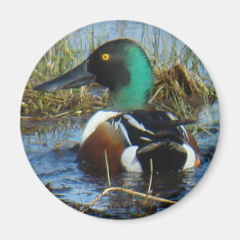 Imán Cuchara norteña B25