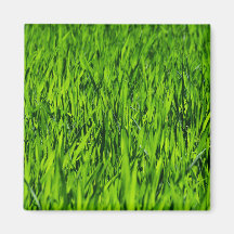 Cuchillas altas de hierba