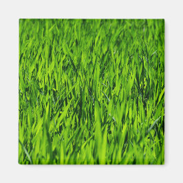 Imán Cuchillas altas de hierba