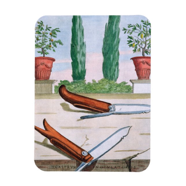 Imán Cuchillo de jardinería, de 'Hesperides' por Giovan (Vertical)