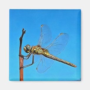 Imán Cuelga Ahí La Dragonfly Artística