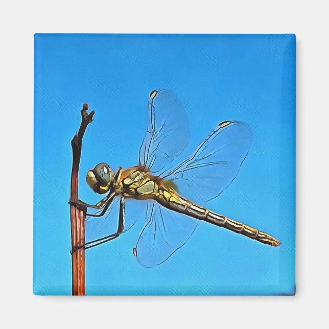 Imán Cuelga Ahí La Dragonfly Artística (Frente)