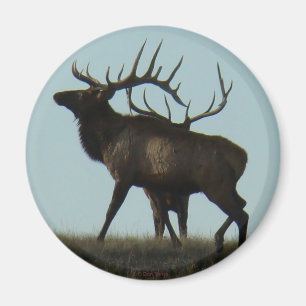Imán Cuernos de silueta de elk toro E14 en el horizonte