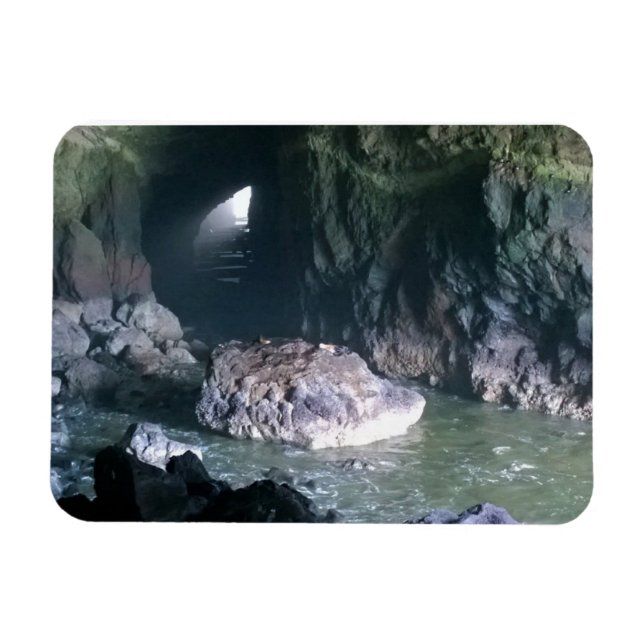 Imán Cueva de león marino, O (Horizontal)